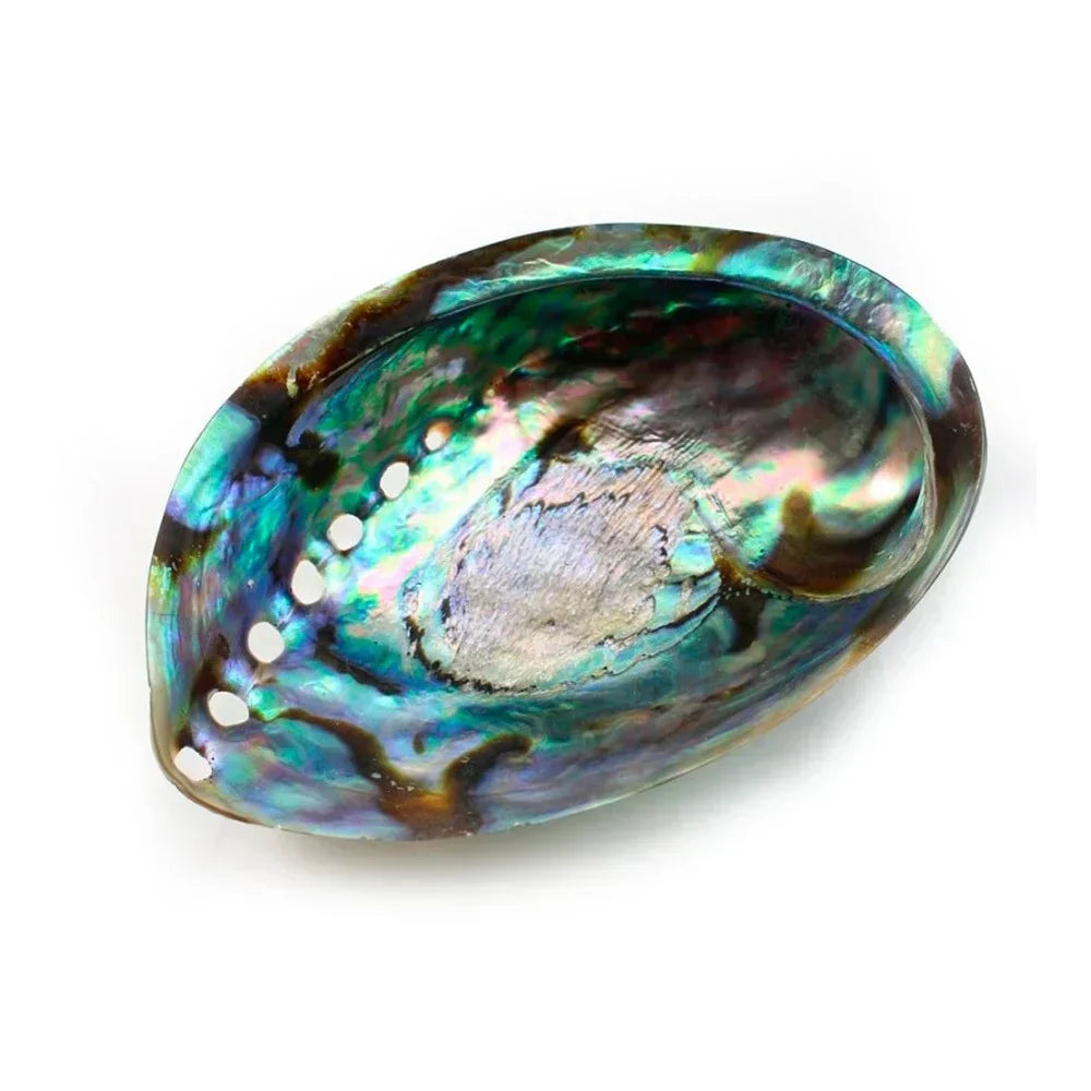 ABALONE