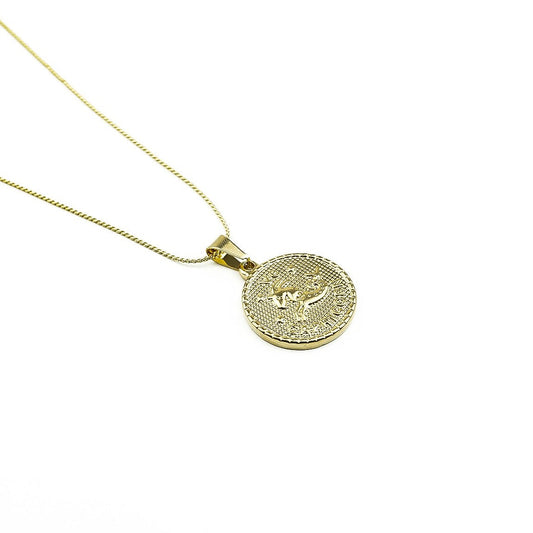 Collier ASTRO Capricorne en acier inoxydable – Hokee Minéraux