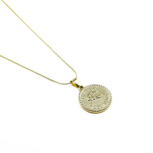 Collier ASTRO Verseau en acier inoxydable avec pendentif astrologique – Hokee Minéraux