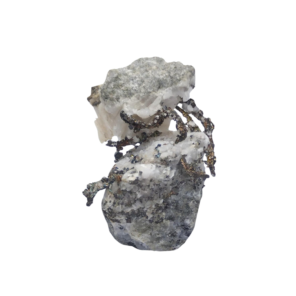 ARGENT NATIF