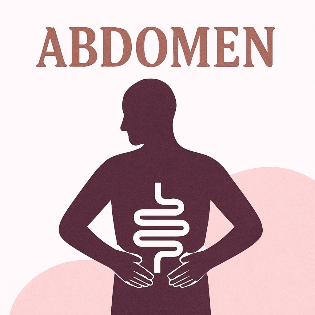 ABDOMEN