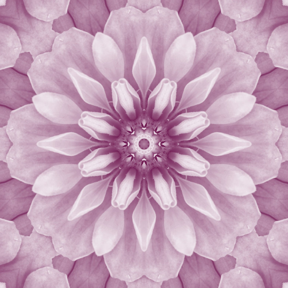 Mandalas en géométrie sacrée aux tons violets illustrant l’harmonie énergétique et la grille cristalline, symbole de méditation et d’équilibre spirituel.